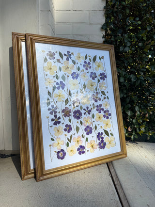 Pressed Texas Wildflowers in modern gilt frame