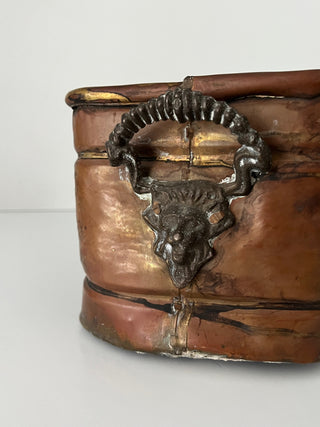 Lion handle brass plant box
