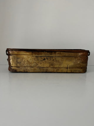 Lion handle brass plant box