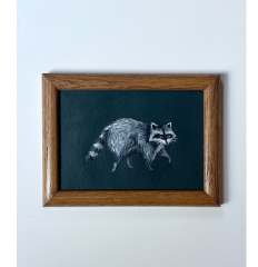 Raccoon on ebony, vintage frame