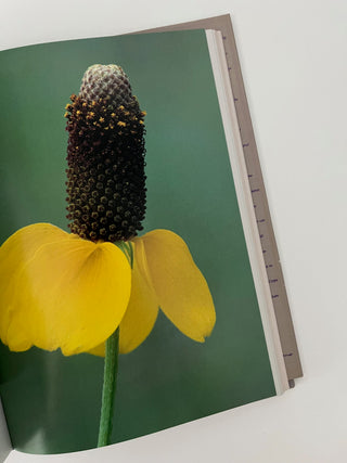 Texas Wildflower Portraits book